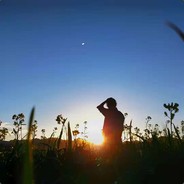 没有月亮的星星