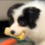 牛子要快乐