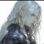 Song of the Fallen