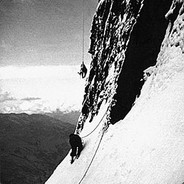 白给 我是认真的