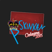 SkinkaN