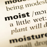 Moist 2025