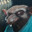 Mestre Splinter