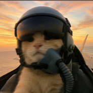 无法返航哈基喵