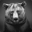 Bearly Koalafied