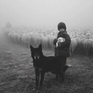 indifferent's avatar