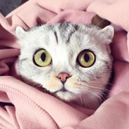 | ᴍ ɪ ɴ ᴇ ʀ |