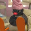 Pingu Bolado