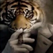 nktd avatar
