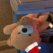 你不会以为我打的过吧