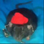 Biggie cheese