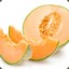 Cantaloupe