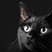 hychychychychychychyc