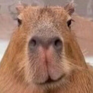 капибара ебара