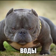 НЕвесёлый