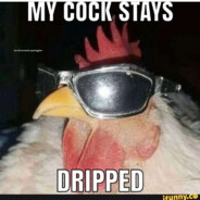 Dripping Chicken