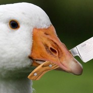 Chaotic Neutral Goose