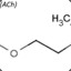 AcetylCholine Esterace