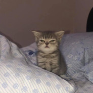 Phạm Ngọc Thắng