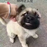 BLACKOLD-PQ又被封