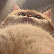 ♥