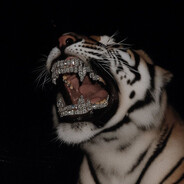 AK-47 skins.army SKINS