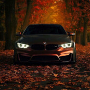 Alex Niki - steam id 76561199125710941