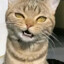 I have these lucid dreams's avatar