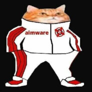 重生之我是aimware