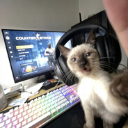 zwhy