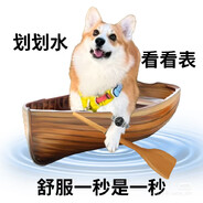 别打着就剩我一个了