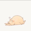 兔子和猫