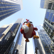 丸九九的两只蠢狗