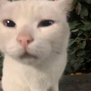 知恩允儿好兄弟