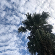 我的超能力是把指甲盖变成闪电爽