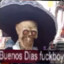 Buenos Dias Fuckboi