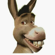DONKEY