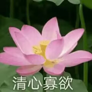 C淋湿了雨