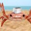 Toaster Crab