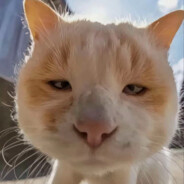 AAA国道半挂李师傅