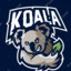 koala))