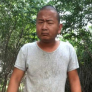 故乡的樱花又开了