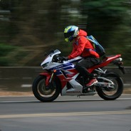 [TW] 勇闖奪命島