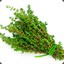 Thyme is Relative.