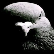 птичка яйценос