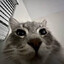 Filip