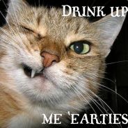 groloch has a new accout