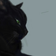 上海市的南京路