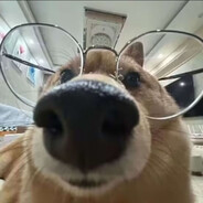 我一直在看着你 ° — °