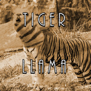 Tigerllama_